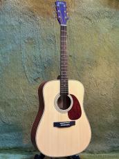 Stafford 【初心者おすすめ】SF-3D NT_2