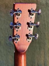 Stafford 【初心者おすすめ】SF-3D NT_6