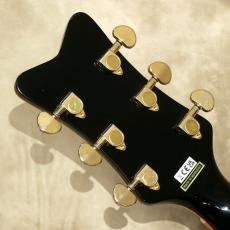 Gretsch G5022CBFE Rancher Falcon_5