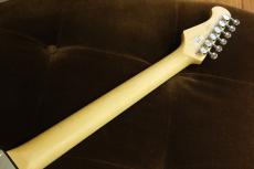 FUJIGEN BCST100RBD / 3TS 【3.38kg】_4