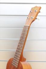 Famous FS-1G ビギナーズセット_3