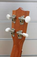 Famous FS-1G ビギナーズセット_8