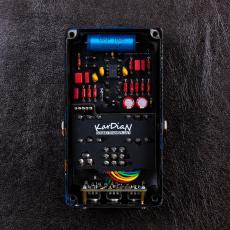 KarDiaN Chloroform UG "ADD CBF"【山野楽器限定モデル】_5