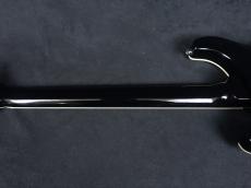 Paul Reed Smith [PRS] SE Custom 24 Quilt Package 2025_8