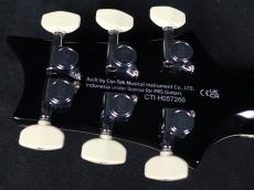 Paul Reed Smith [PRS] SE Custom 24 Quilt Package 2025_9