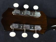 Epiphone Blues King Studio Dark Burst_9