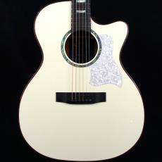 S.Yairi(エスヤイリ)の検索結果1～50件【楽器検索｜Jギター】