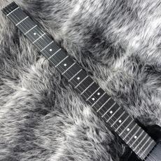 Steinberger Spirit GT-PRO Deluxe Black_3