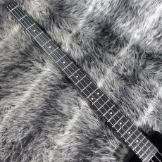 Steinberger Spirit XT-2DB Black_3