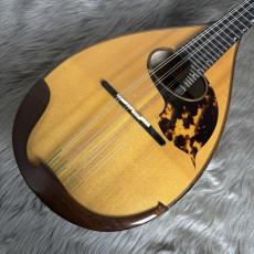 落合手工マンドリン 1965/S-2/S/R