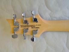Paul Reed Smith [PRS] SE CUSTOM 24 Quilt_4