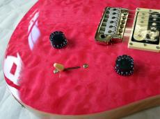 Paul Reed Smith [PRS] SE CUSTOM 24 Quilt_8