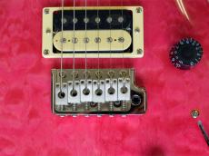 Paul Reed Smith [PRS] SE CUSTOM 24 Quilt_9