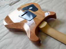 Paul Reed Smith [PRS] SE CUSTOM 24 Quilt_14