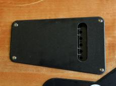 Paul Reed Smith [PRS] SE CUSTOM 24 Quilt_15