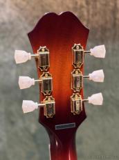 Epiphone ~Masterbilt~ Frontier -Iced Tea Aged Gloss- #25092304589【36回迄金利0%対象】【送料当社負担】_6