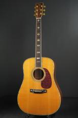 Martin D-45 BRAZIL
