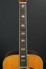 Martin D-45 BRAZIL_7
