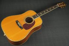 Martin D-45 BRAZIL_10