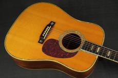 Martin D-45 BRAZIL_11