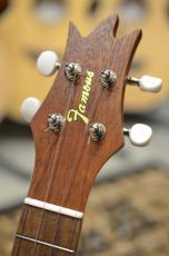 Famous FS-2PG_3