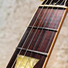 Gibson Les Paul Classic Premium Plus(改)_7