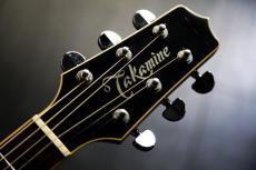 Takamine TDP 561C　 BL_2