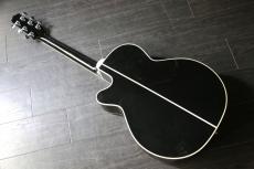 Takamine TDP 561C　 BL_4
