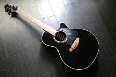 Takamine TDP 561C　 BL_5