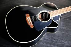 Takamine TDP 561C　 BL_6