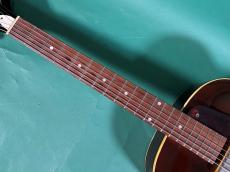 Epiphone CENTURY_7