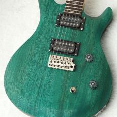 Paul Reed Smith [PRS](ポールリードスミス)、その他のボディ、緑系の
