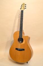 Yokoyama Guitars AR-CM_4