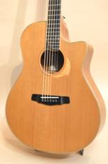 Yokoyama Guitars AR-CM_5