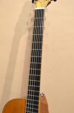 Yokoyama Guitars AR-CM_6