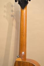 Yokoyama Guitars AR-CM_10