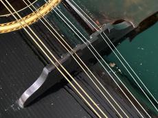 Gibson A-4_10