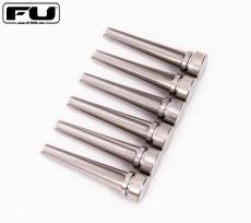 FU-Tone Titanium Acoustic Bridge Pins – SILVER_2