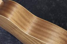Taylor 【近日入荷予定!】GS Mini  Sapele_9