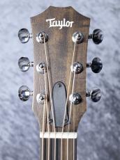 Taylor 【近日入荷予定!】GS Mini  Sapele_11