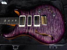 Paul Reed Smith [PRS] Special Semi-Hollow Custom Color 10Top 2025_4
