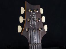 Paul Reed Smith [PRS] Special Semi-Hollow Custom Color 10Top 2025_5