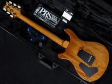 Paul Reed Smith [PRS] Special Semi-Hollow Custom Color 10Top 2025_8