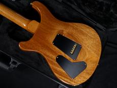 Paul Reed Smith [PRS] Special Semi-Hollow Custom Color 10Top 2025_9