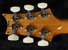 Paul Reed Smith [PRS] Special Semi-Hollow Custom Color 10Top 2025_11