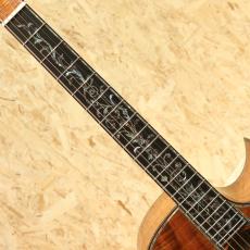 AYERS SJ09-C Tree of Life Select 5A KOA 3.0 2023_6