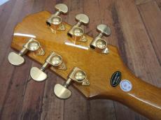 Epiphone Sheraton_6