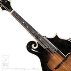 WADE FW-5 with VIRZI tone producer_5