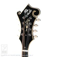 WADE FW-5 with VIRZI tone producer_7