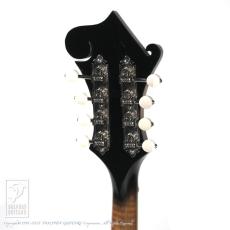 WADE FW-5 with VIRZI tone producer_8